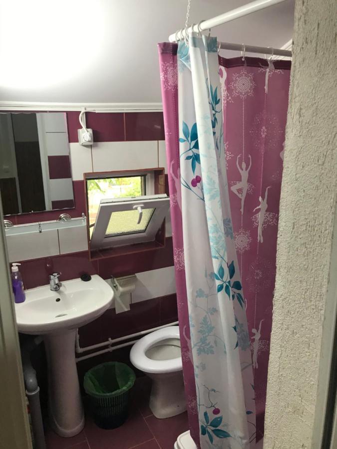 Casa Radu Hotel Tulcea Bagian luar foto