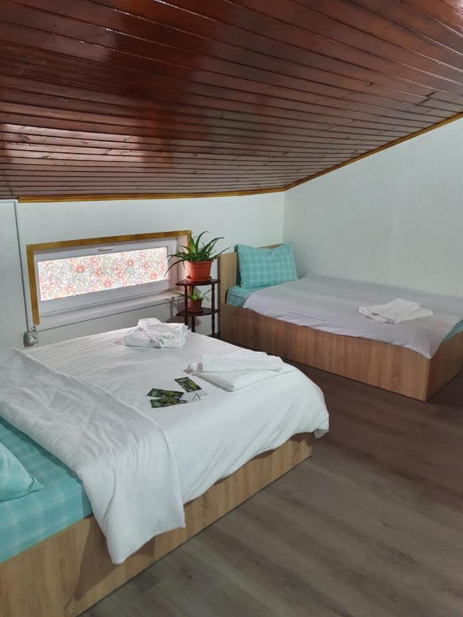 Casa Radu Hotel Tulcea Bagian luar foto